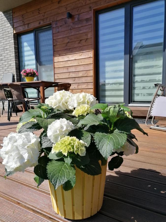 Geltoni Apartamentai Palanga Kültér fotó