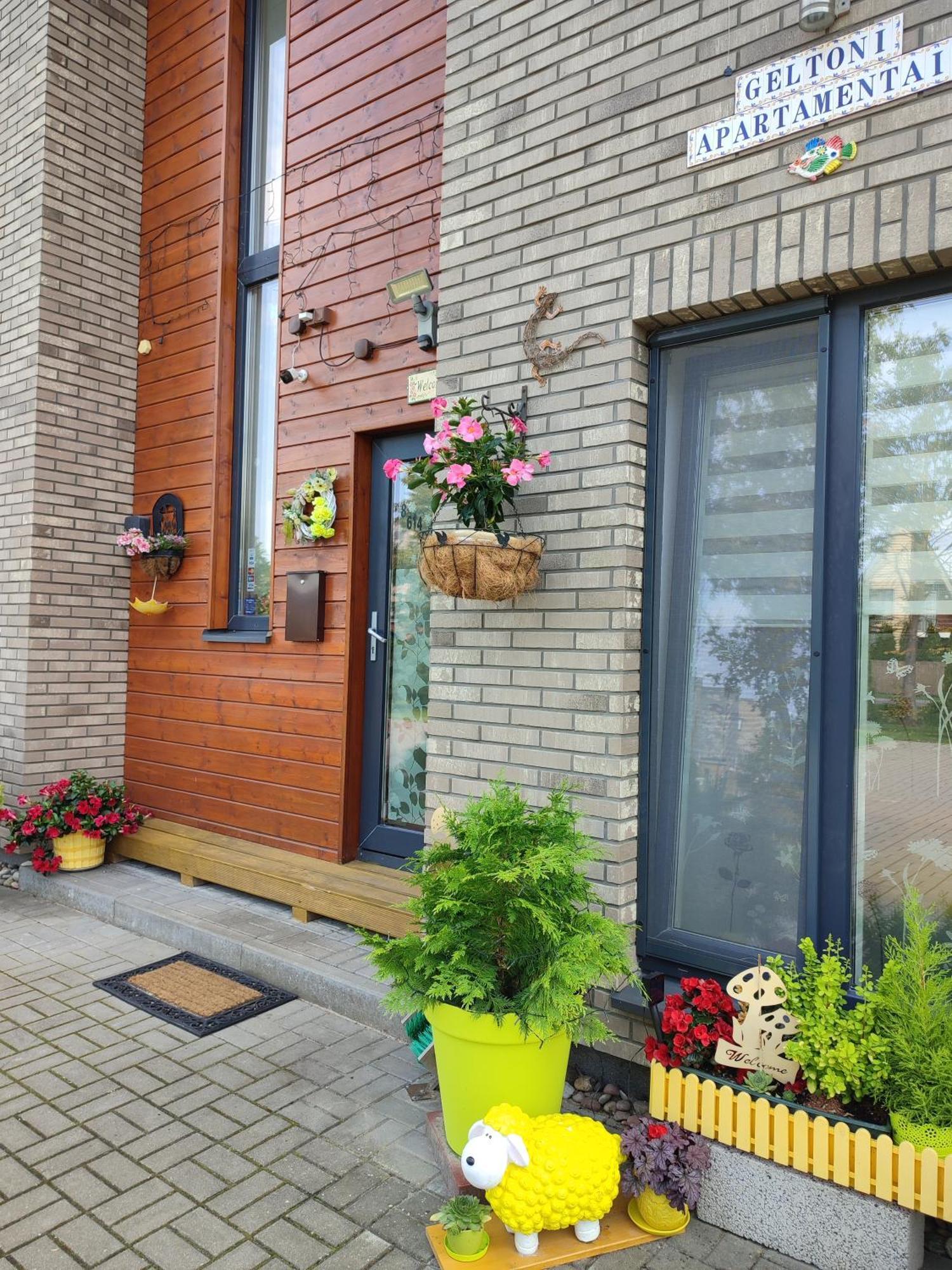 Geltoni Apartamentai Palanga Kültér fotó