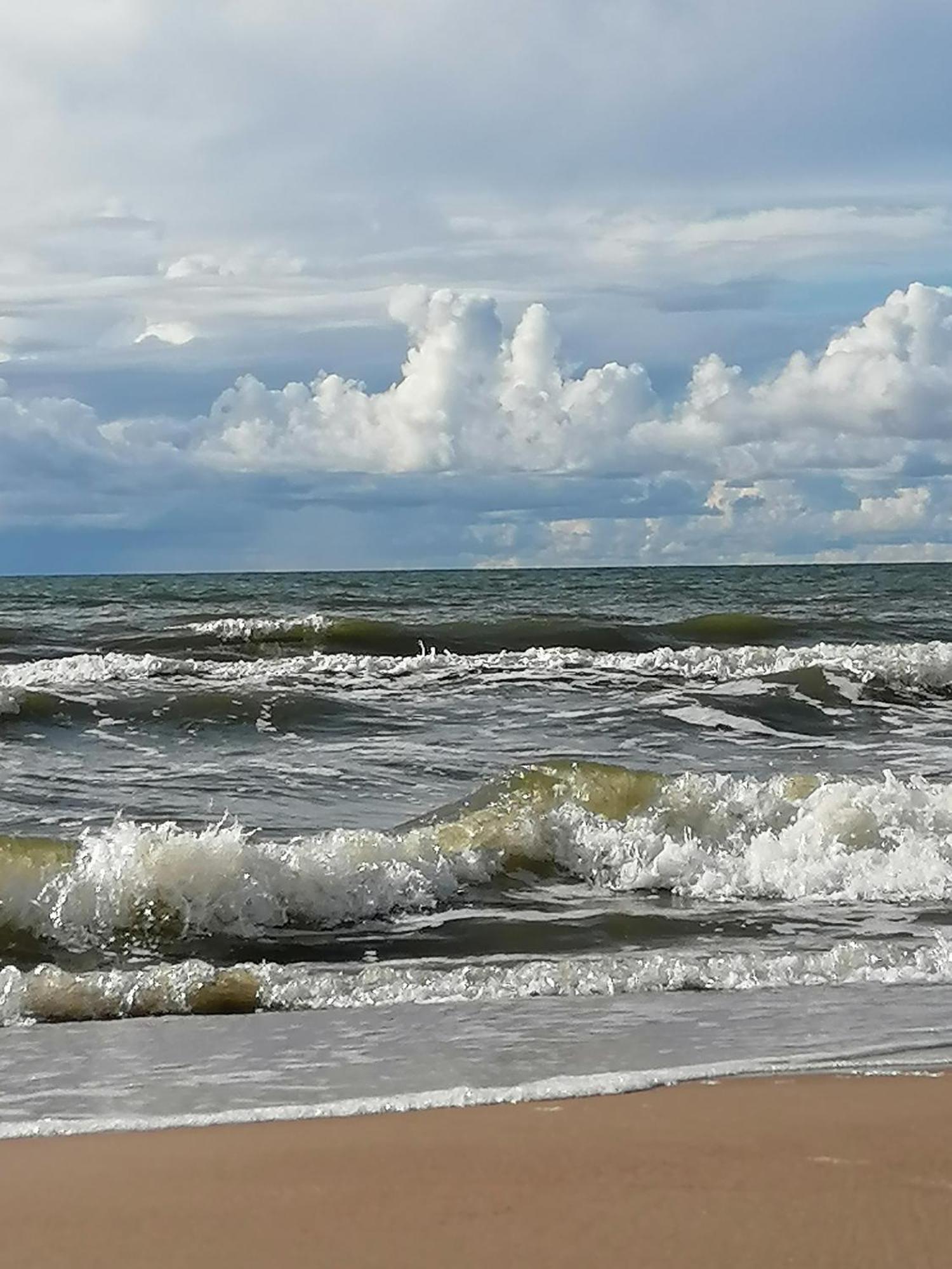 Geltoni Apartamentai Palanga Kültér fotó