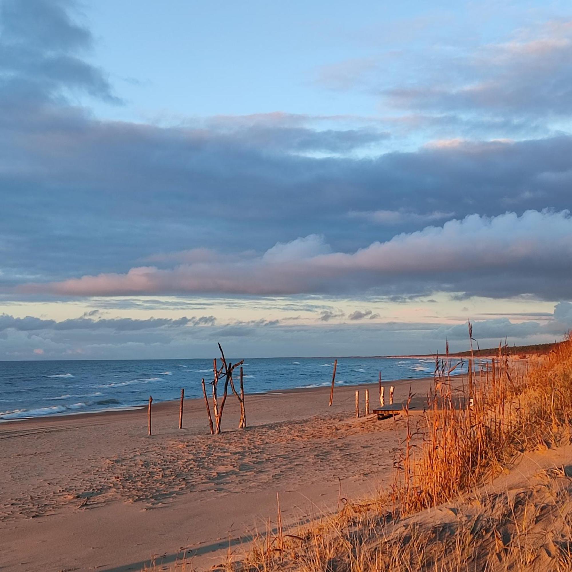 Geltoni Apartamentai Palanga Kültér fotó