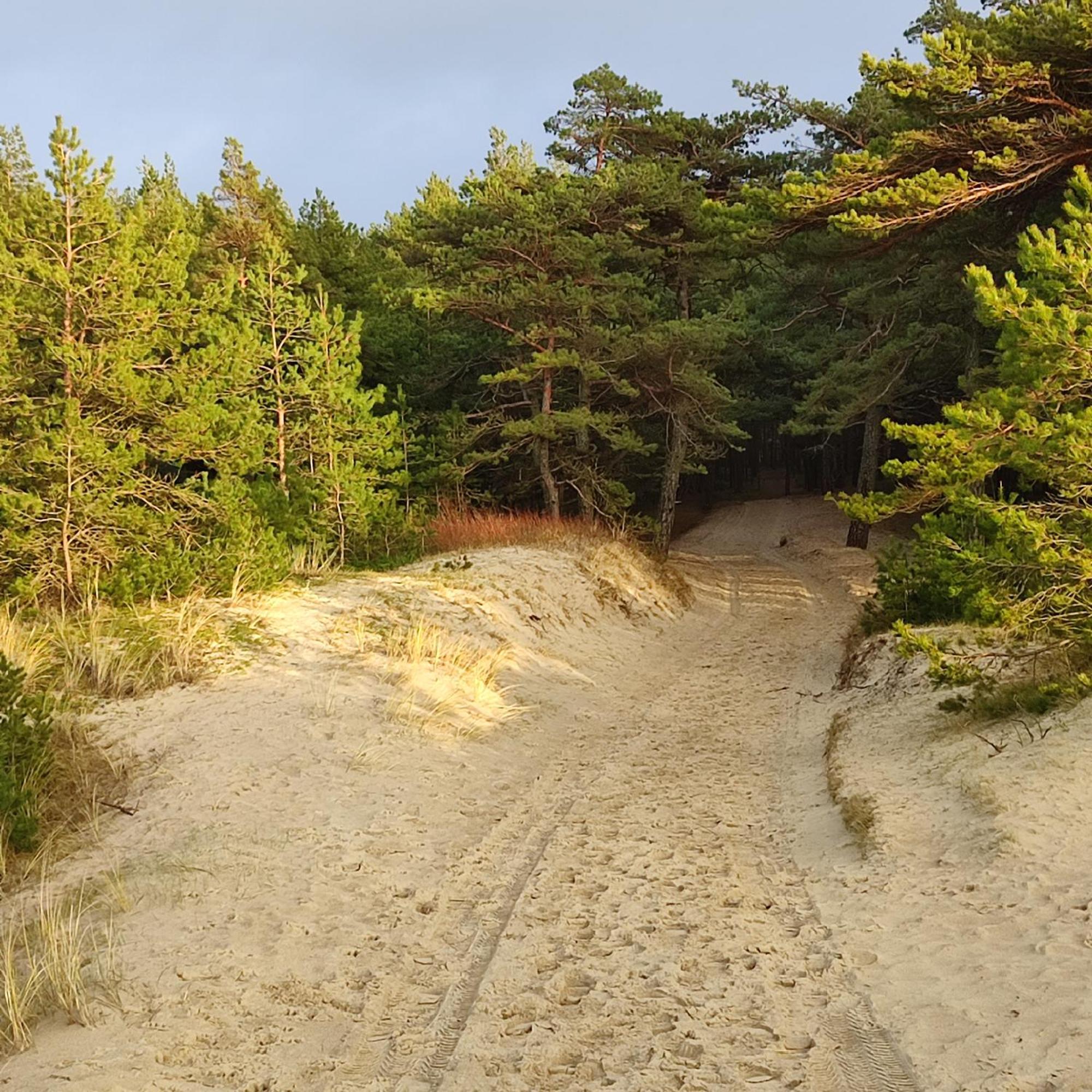 Geltoni Apartamentai Palanga Kültér fotó