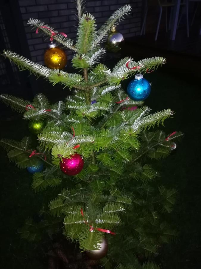 Geltoni Apartamentai Palanga Kültér fotó